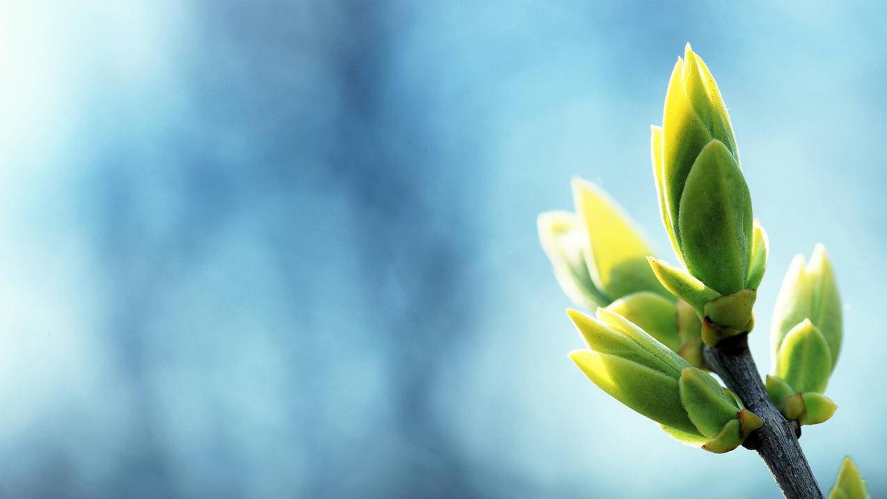 快手直播业务自动下单平台_微博粉丝全网最低价