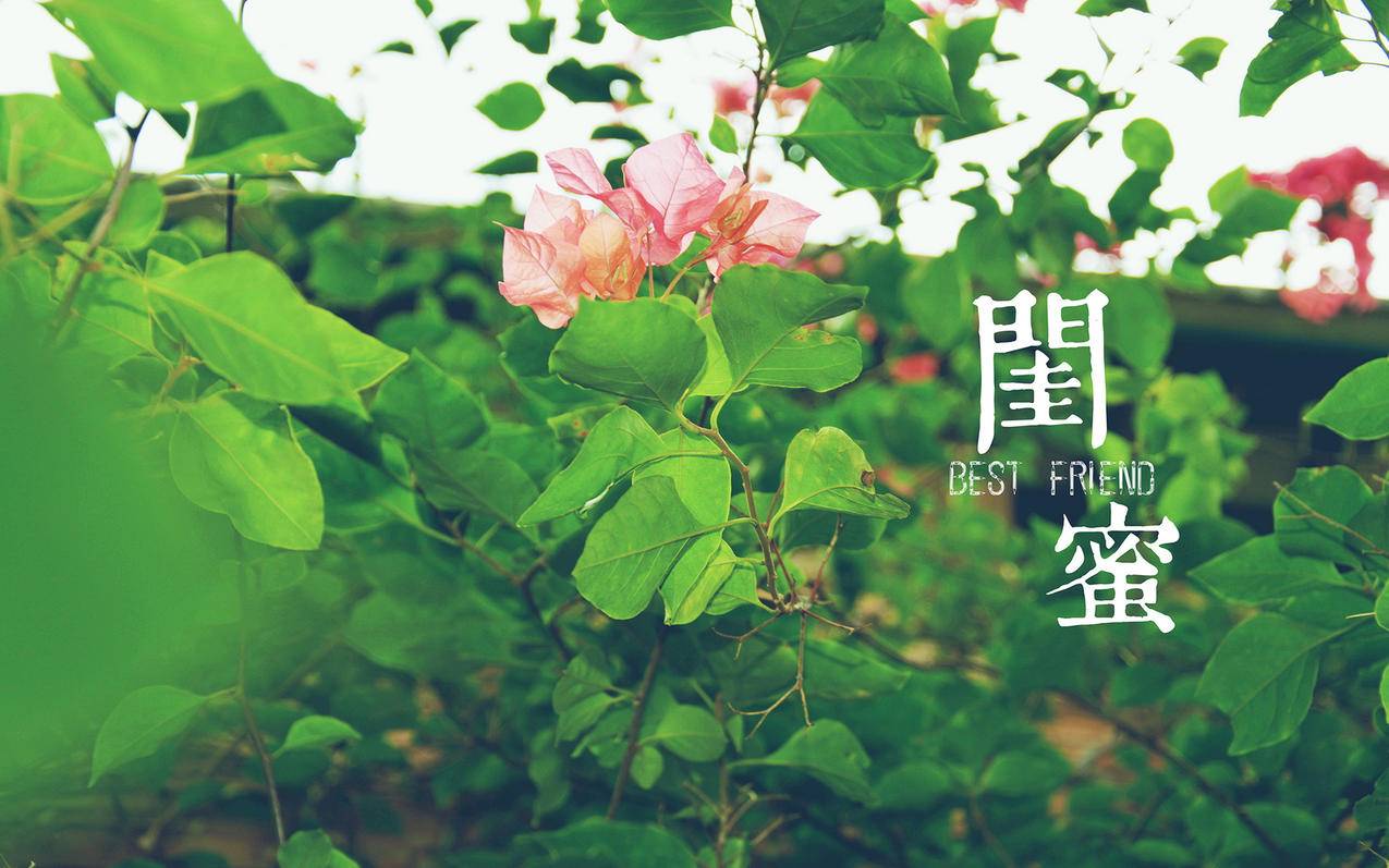 快手秒刷自助下单平台 - qq空间刷赞网站推广低价