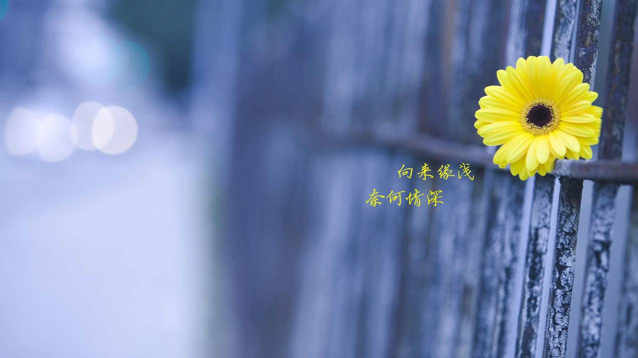 快手作品双击子潇网络_快手下单秒刷平台微信支付，微信代网站刷业务最便宜