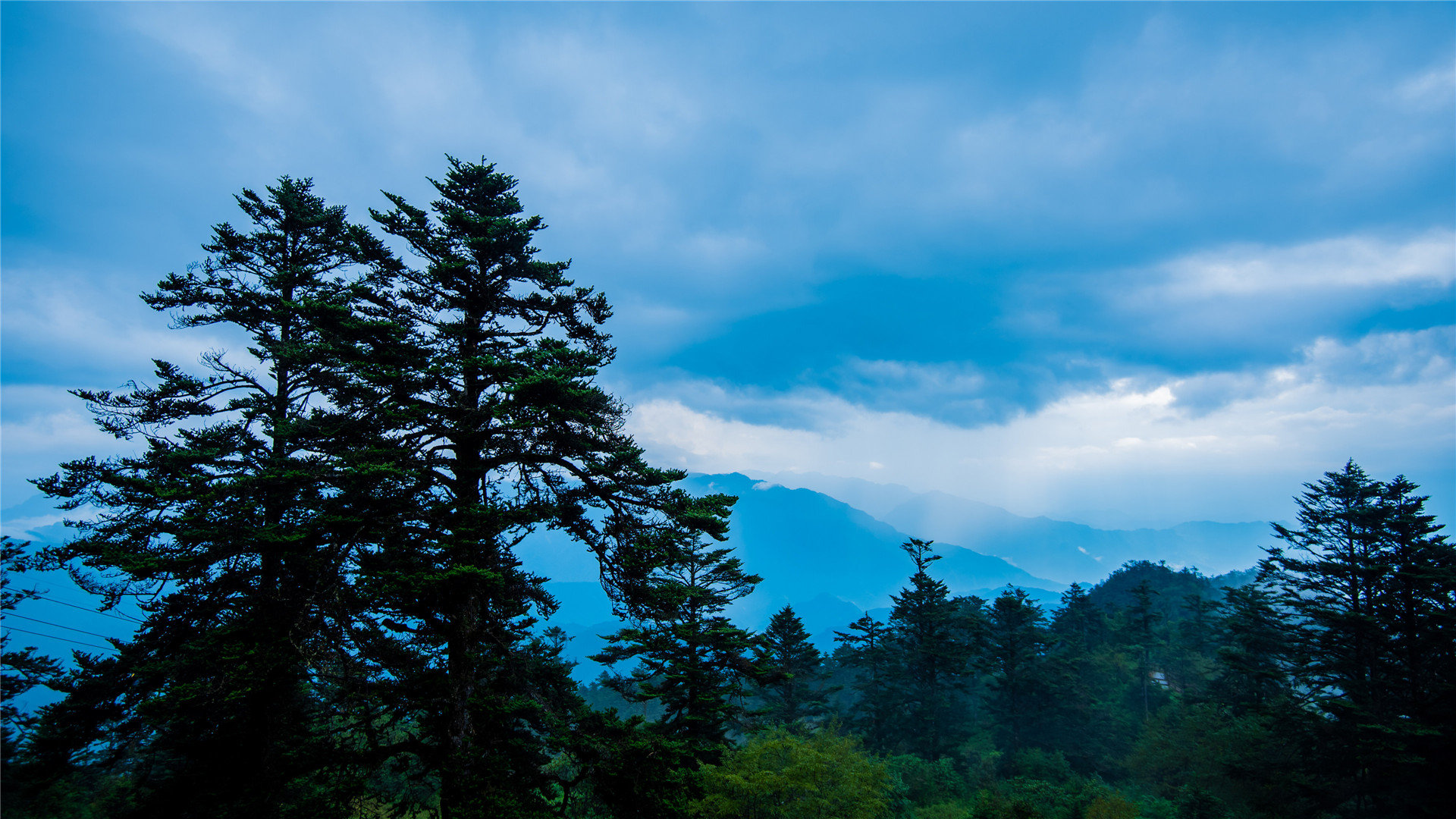 颜夕代刷平台 - 快