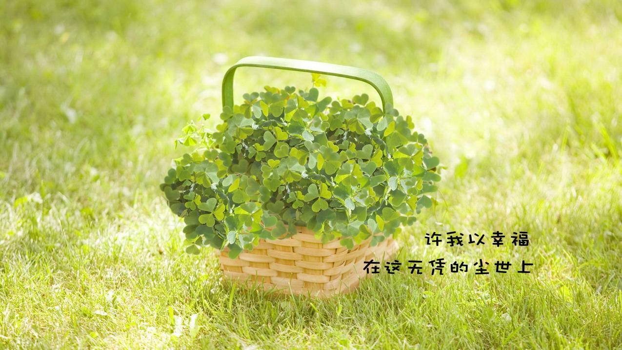 专业秒刷网 -低价QQ业务平台,qq说说赞自助下单平台,24小时自助下单平台