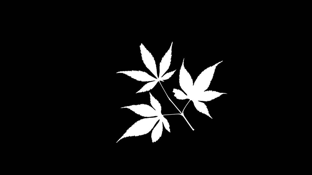 全网最低价qq名片赞