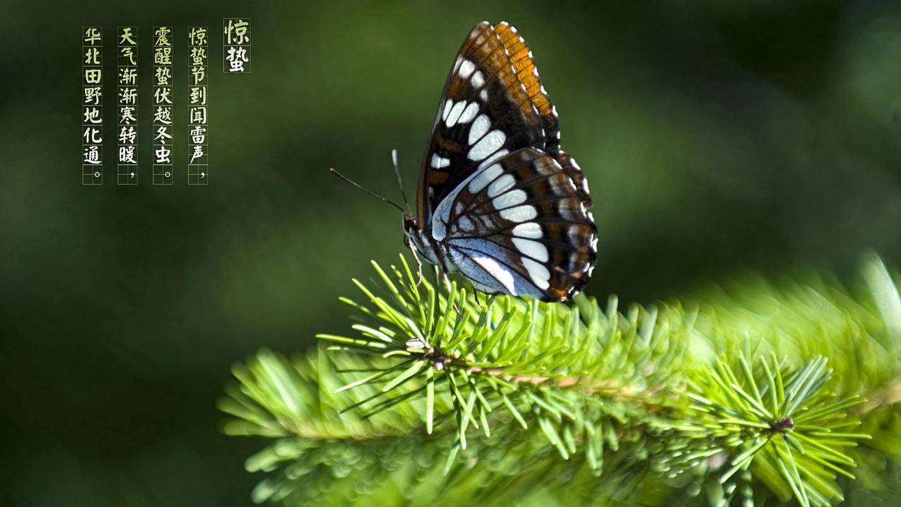 1元一万粉快手网站真粉丝 - qq一毛钱一万名片赞最新网站,划得来卡盟