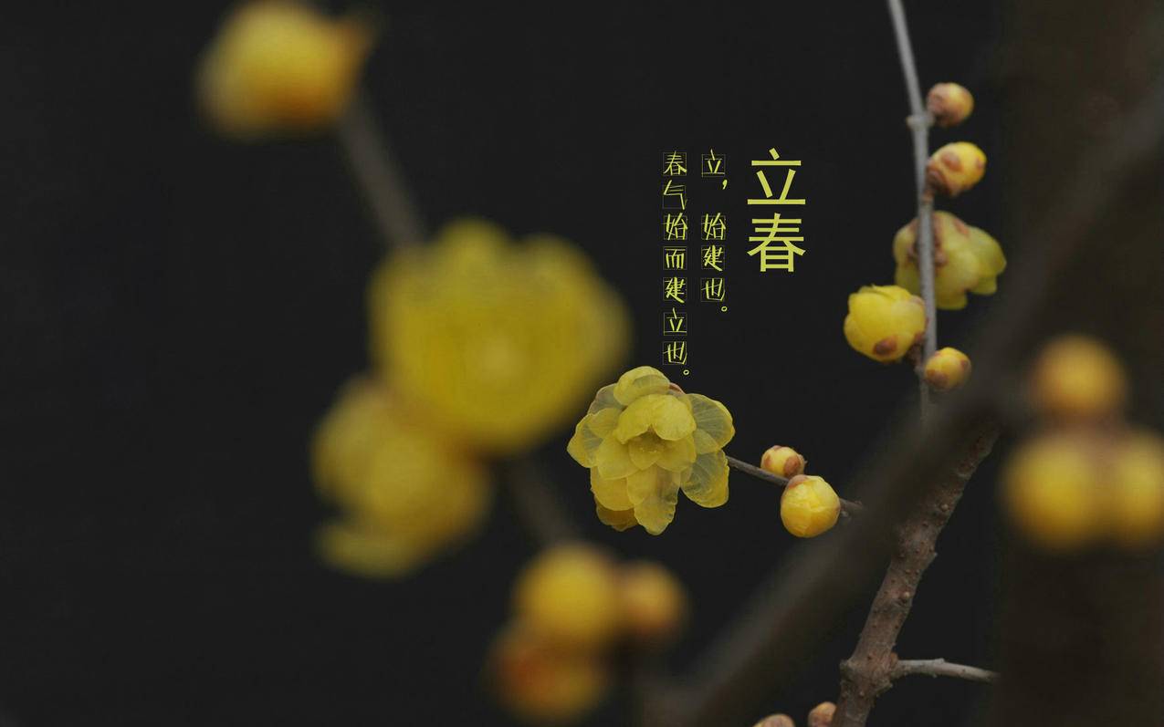 qq等级业务代刷网- QQ名片赞空间人气全民K歌业务代刷服务平台-24小时自助下单服务平台!