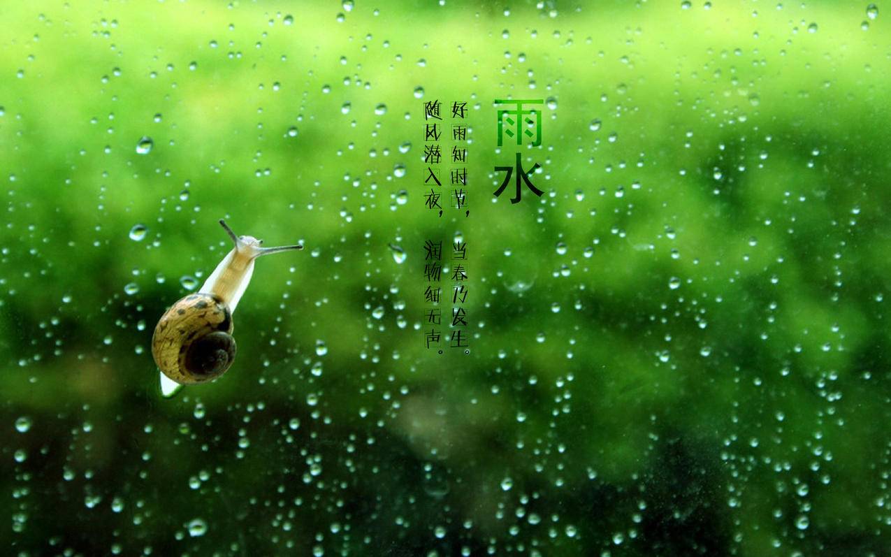 刷赞程序_免费自助下单