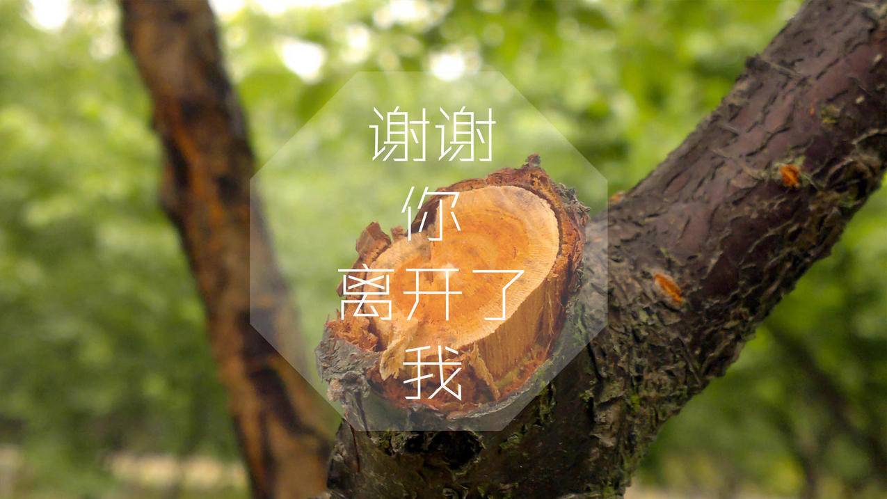 人气24小时自助下单_在线秒刷快手双击网站10个