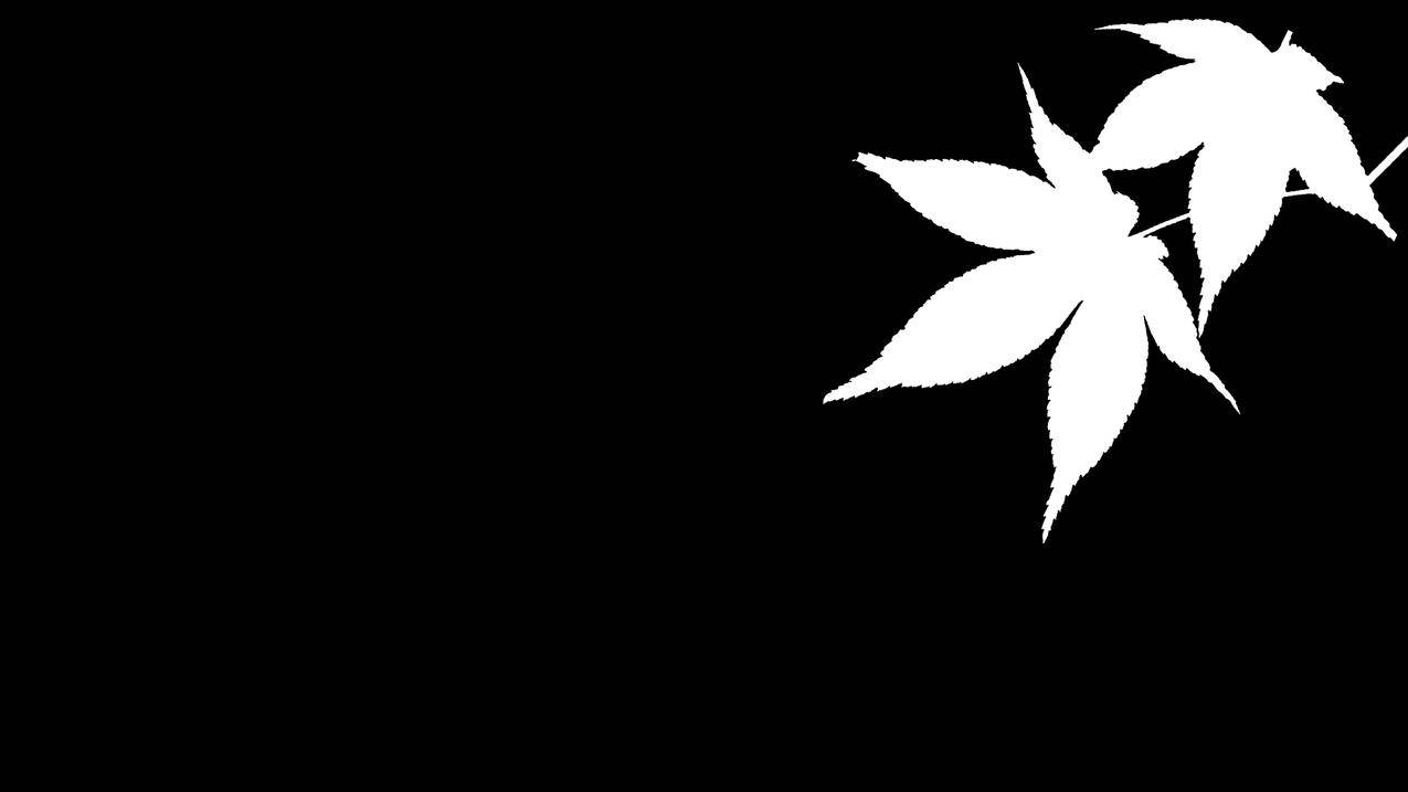 5w名片赞免费领取 - 抖音自助下单平台10个赞