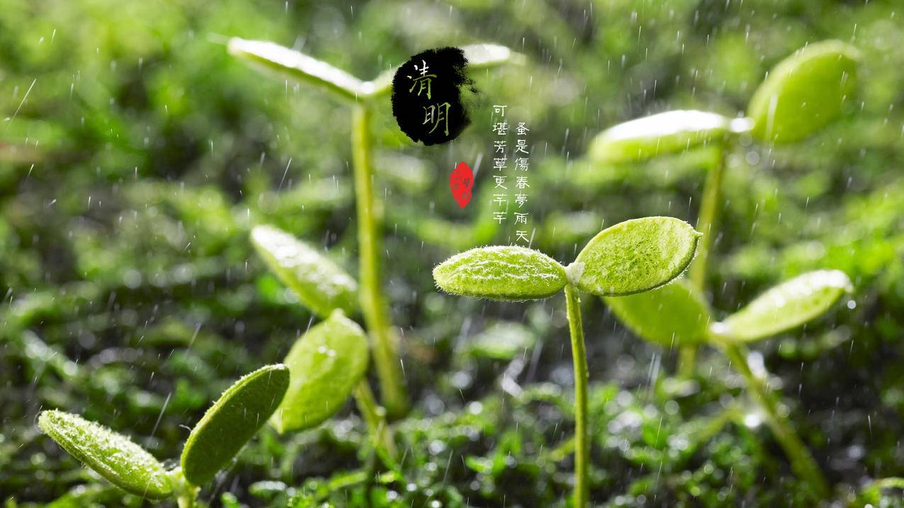 小熊点赞网 - 0.3毛1万赞平台