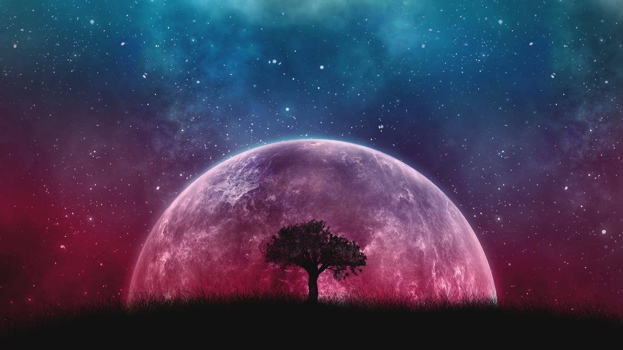 卡盟快手粉丝3元一万 - 抖音刷浏览量平台