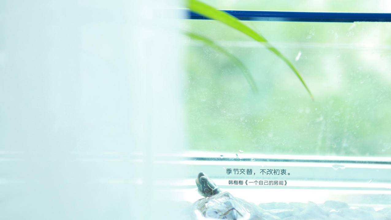 神器刷qq空间说说赞手机版 - 抖音双击刷网站,快手刷少量双击自助下单