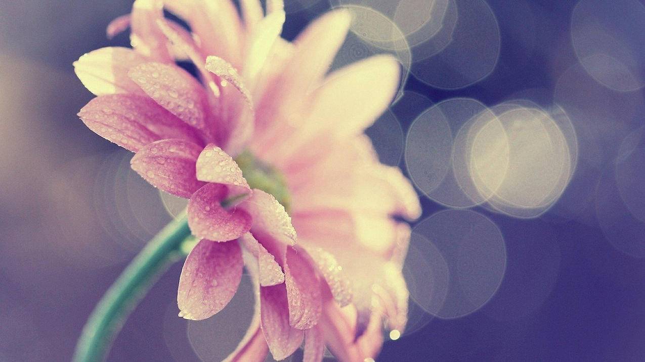 夏天代刷网是骗子吗 - 抖音一元购海鲜原创