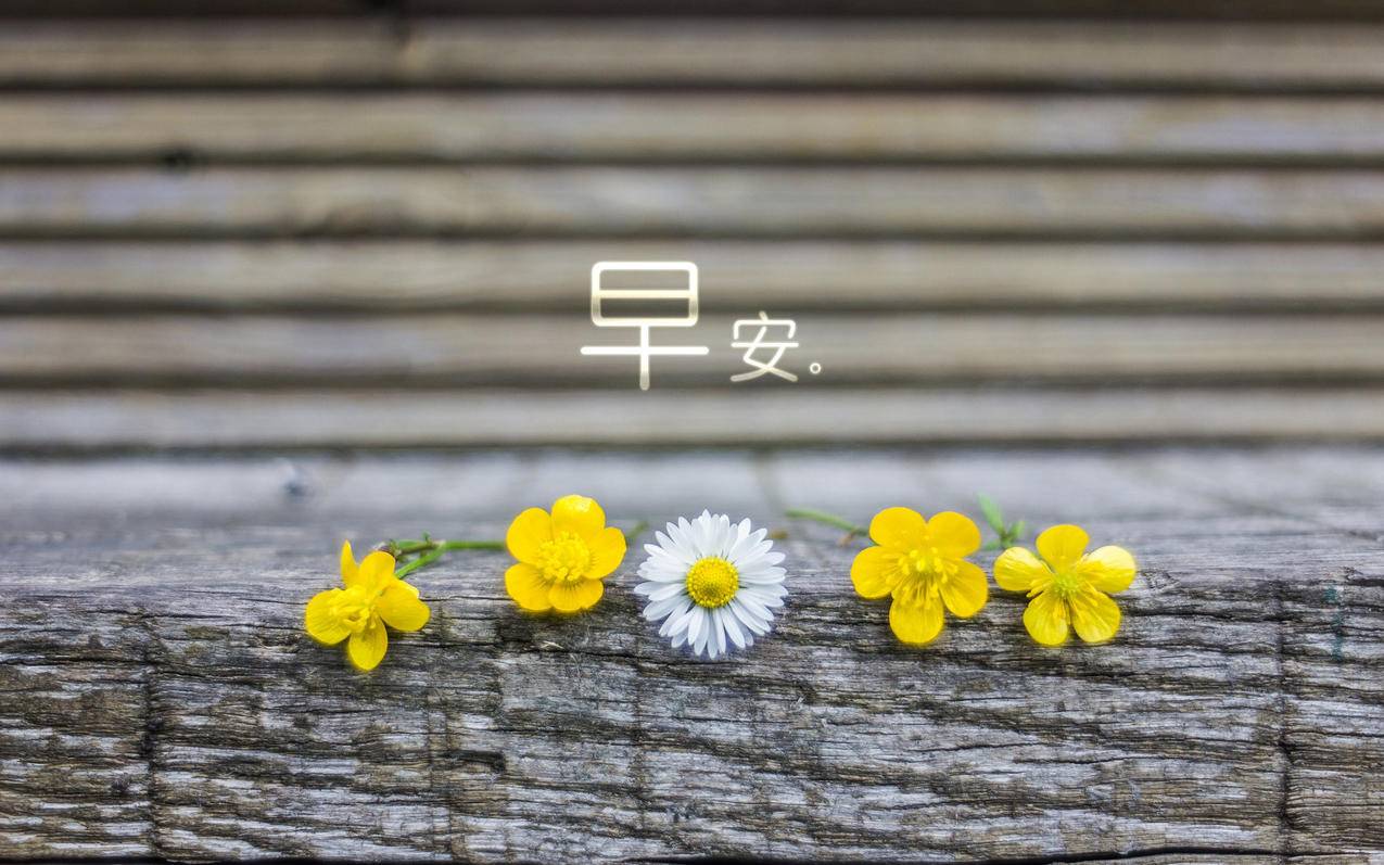 0.1元一万赞平台快