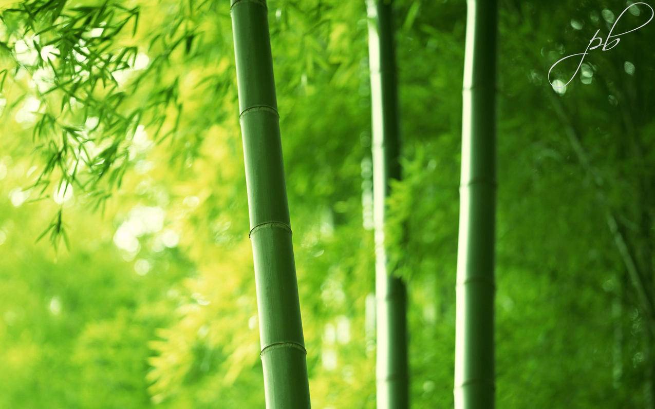 业务自助下单平台 -