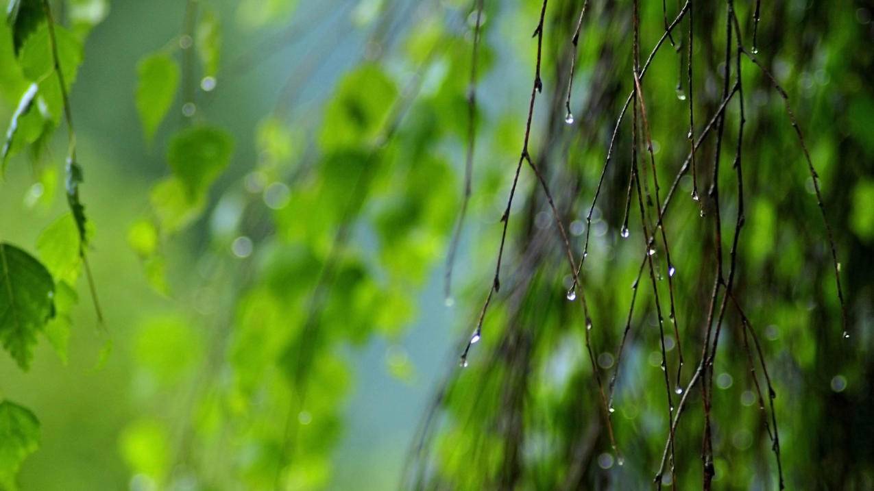 在线抖音点赞特价自助平台 - 快手自动下单平台