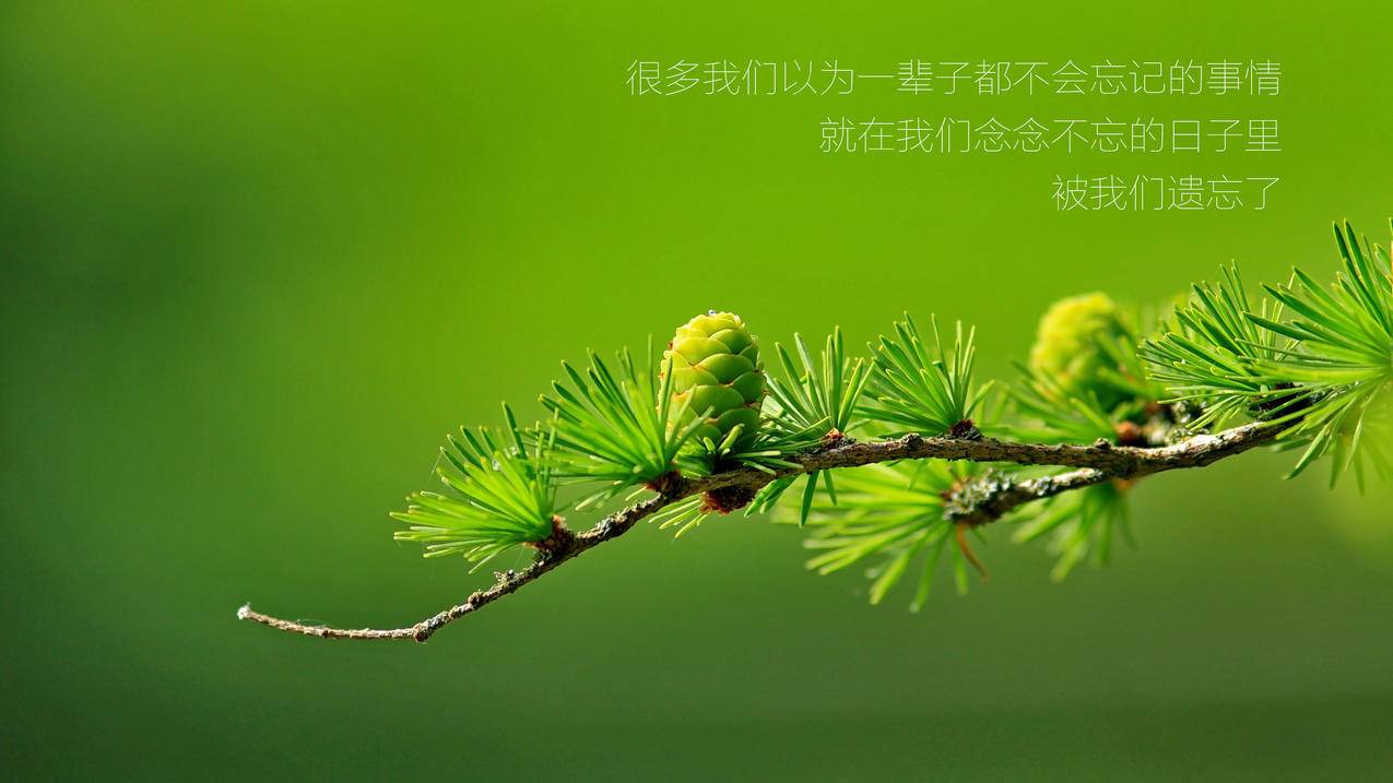 快手协议粉正规平台_免费领取空间说说赞赞_桔子刷赞