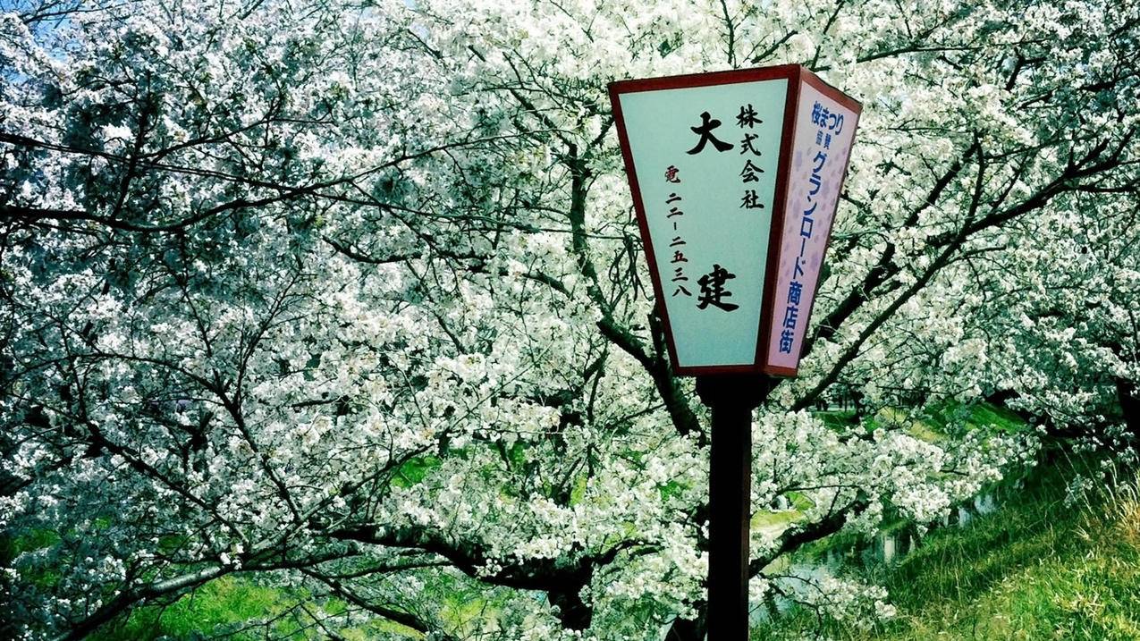 刷快手赞免费 - 抖音刷赞平台