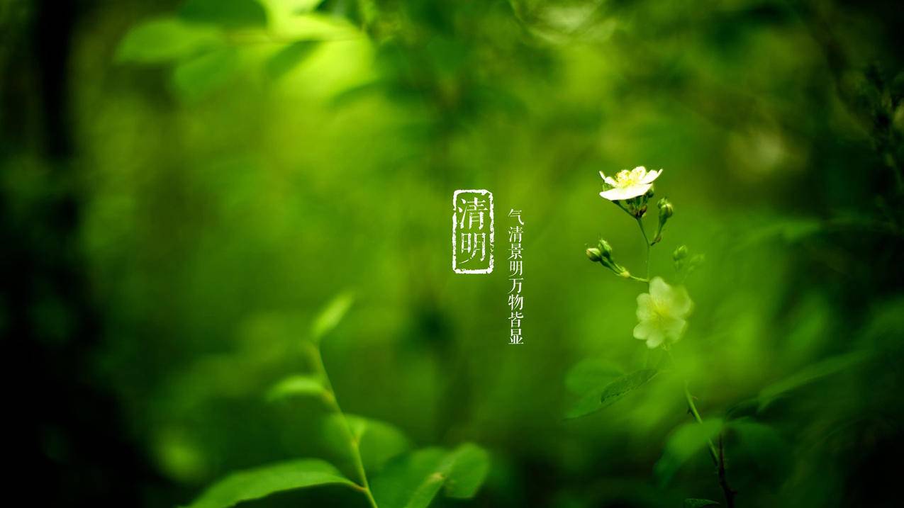 0.1元刷赞网站 - 小时自动秒单