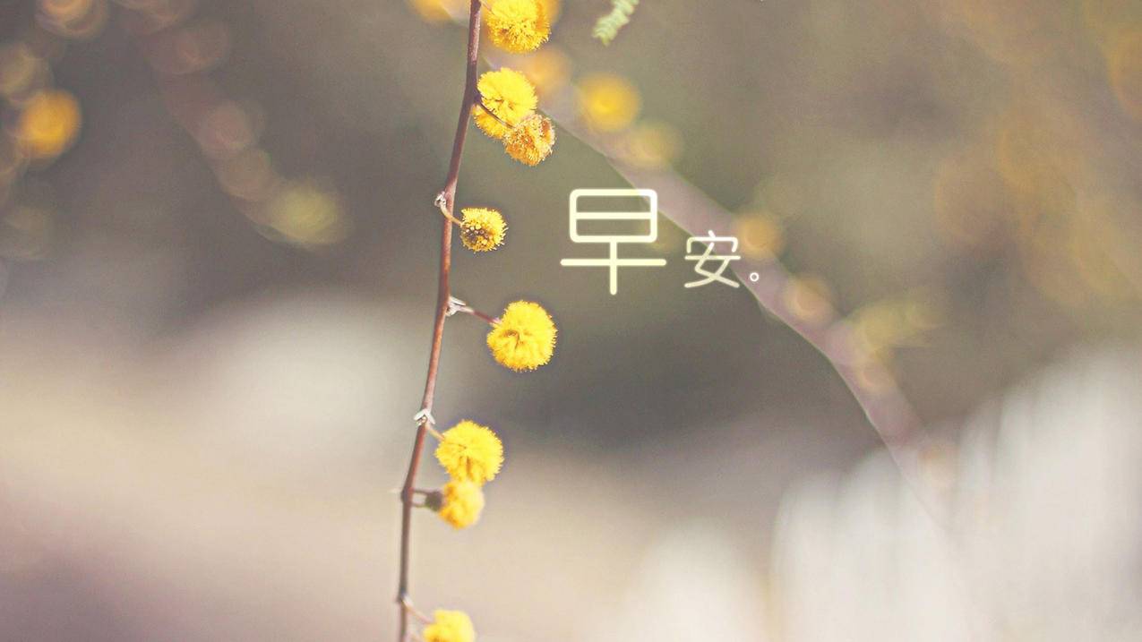 快手最低代刷业务-快手刷热度慢刷_快手社区自助下单平台