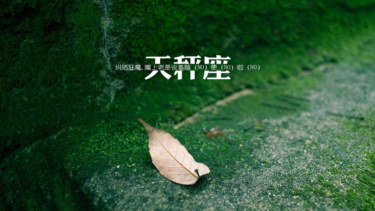 机领网自助下单平台官网 - 抖音刷双击10个