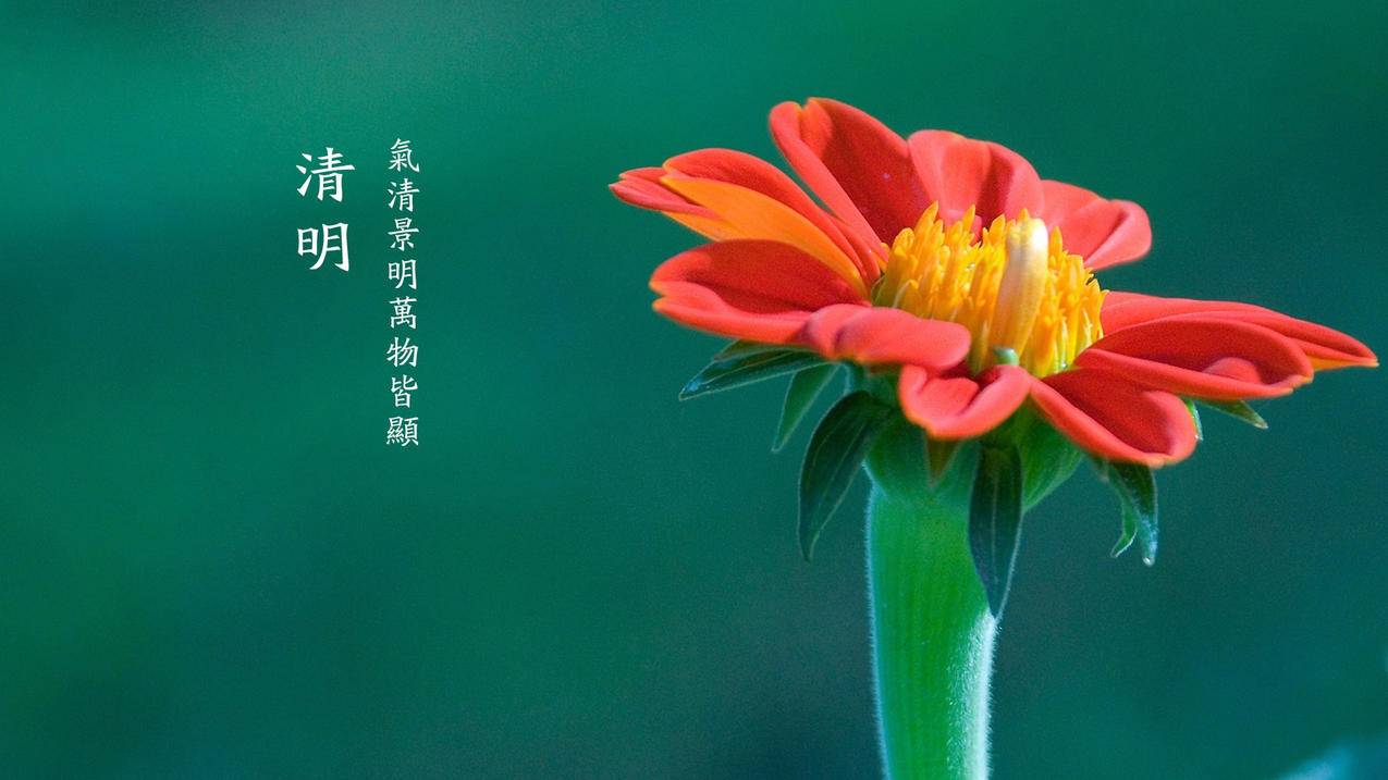 快手刷热度在线网络平