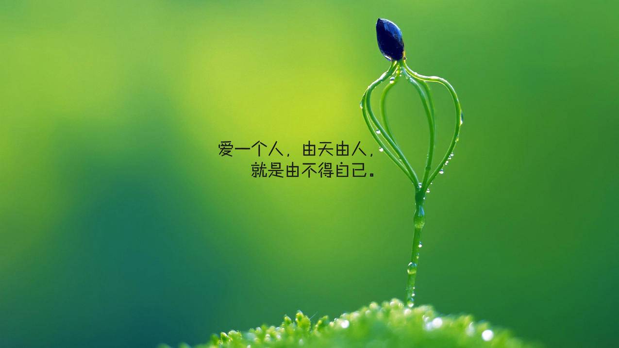 qq名片赞全网最低价-每天免费领3000名片赞 - QQ刷赞