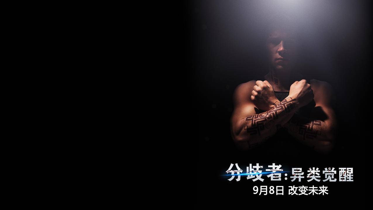锦诚代刷网.apk - cf业务代刷